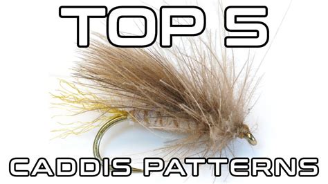 caddis fly blog|adult caddis fly patterns.